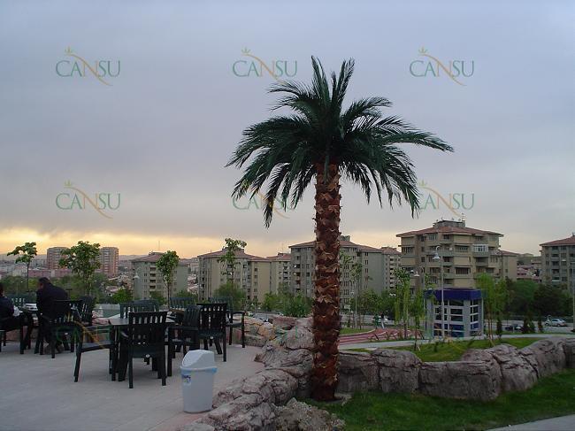 Palmiye, Palmiye Ağacı, Yapay Palmiye, Şoklanmış Palmiye, Yapay Palmiye Ağacı, Şoklanmış Palmiye Ağacı