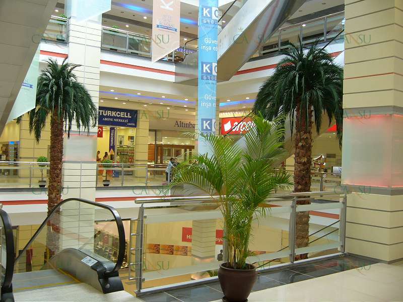 Palmiye, Palmiye Ağacı, Yapay Palmiye, Şoklanmış Palmiye, Yapay Palmiye Ağacı, Şoklanmış Palmiye Ağacı