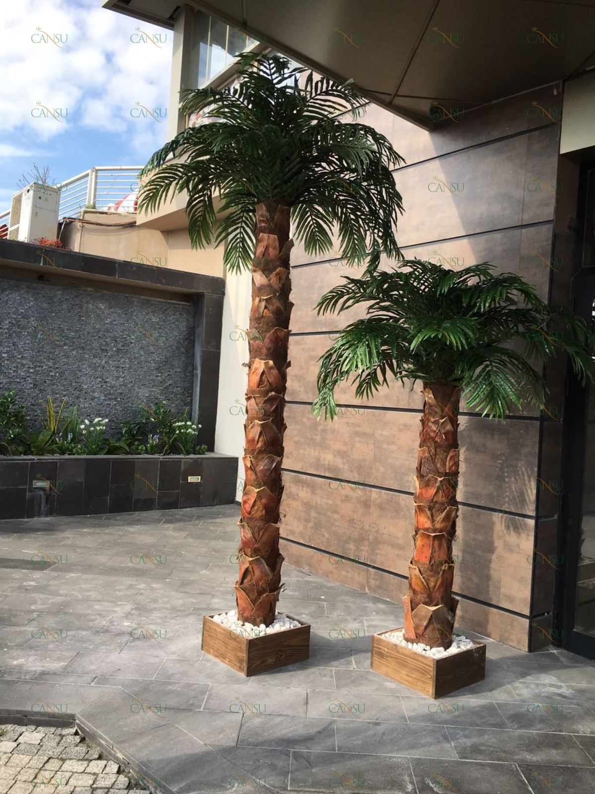 Palmiye, Palmiye Ağacı, Yapay Palmiye, Şoklanmış Palmiye, Yapay Palmiye Ağacı, Şoklanmış Palmiye Ağacı