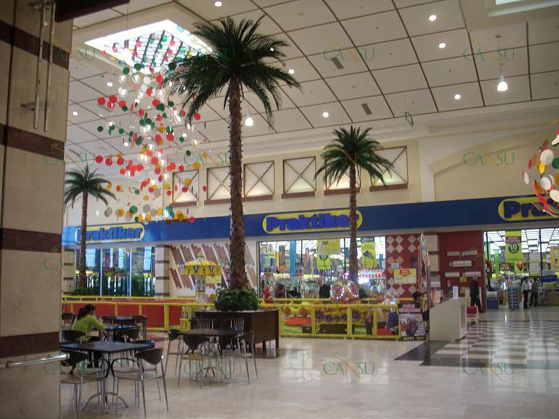 Palmiye, Palmiye Ağacı, Yapay Palmiye, Şoklanmış Palmiye, Yapay Palmiye Ağacı, Şoklanmış Palmiye Ağacı