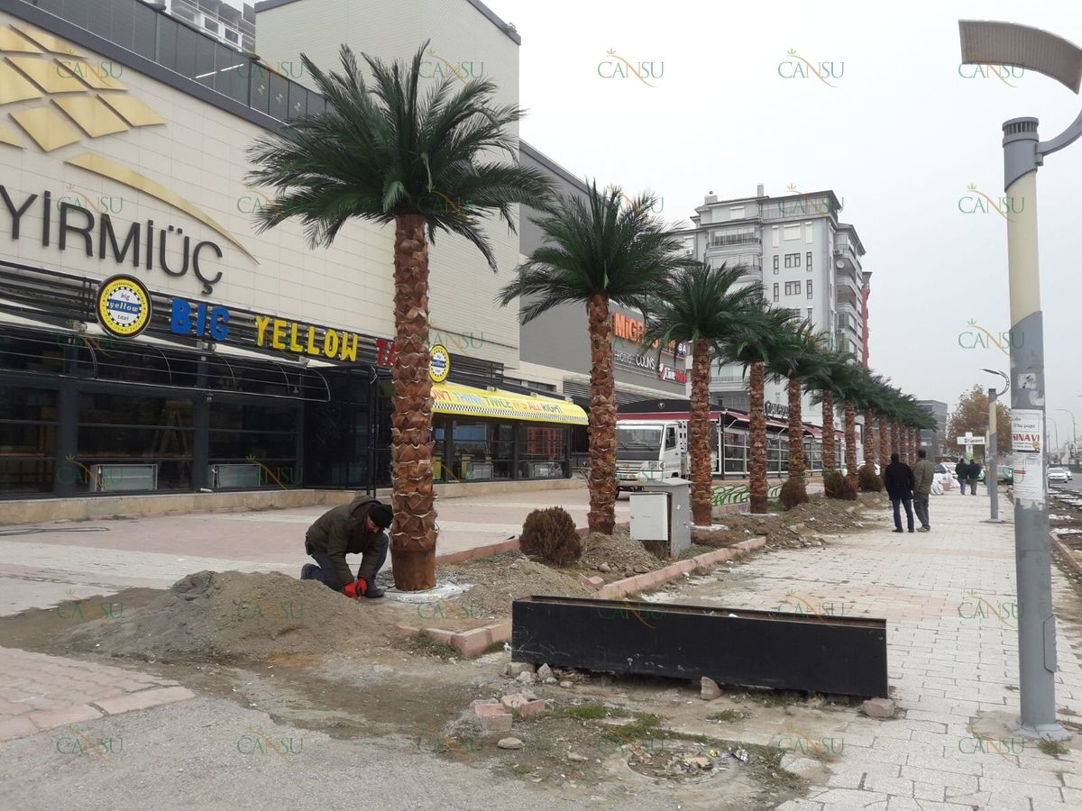 Palmiye, Palmiye Ağacı, Yapay Palmiye, Şoklanmış Palmiye, Yapay Palmiye Ağacı, Şoklanmış Palmiye Ağacı
