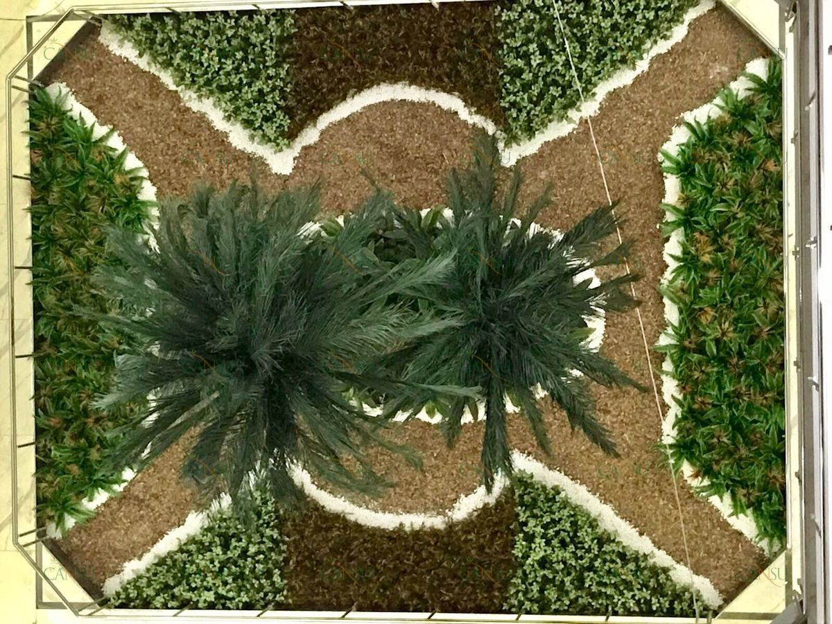 Palmiye, Palmiye Ağacı, Yapay Palmiye, Şoklanmış Palmiye, Yapay Palmiye Ağacı, Şoklanmış Palmiye Ağacı