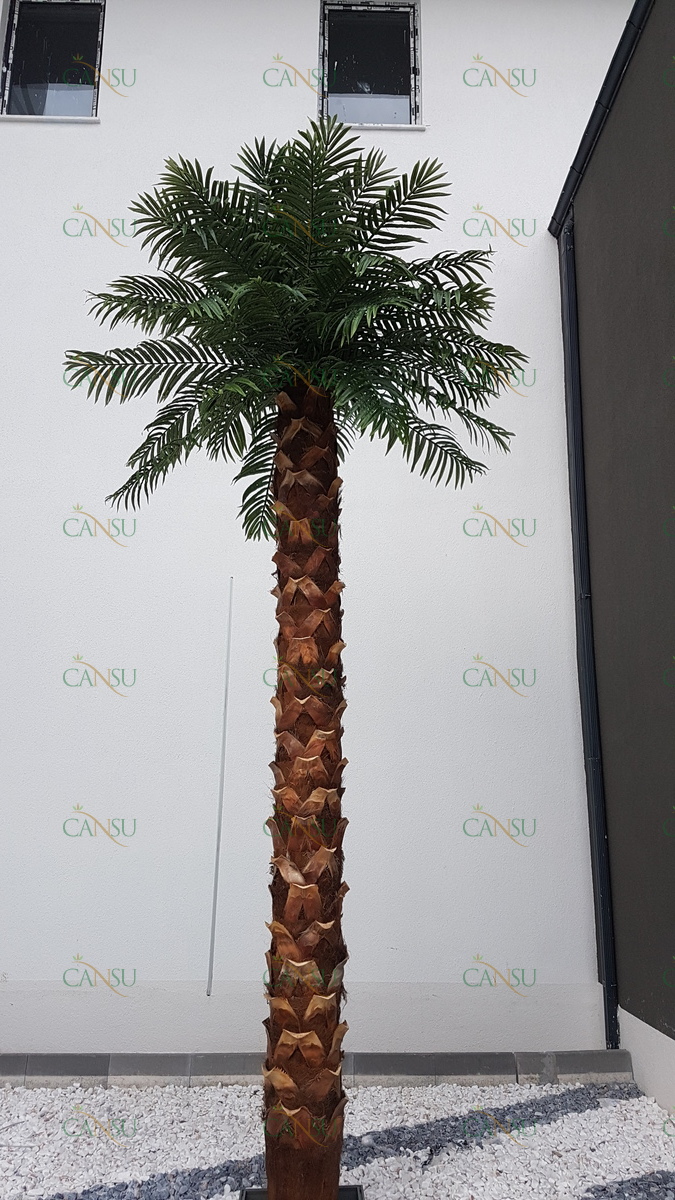 Palmiye, Palmiye Ağacı, Yapay Palmiye, Şoklanmış Palmiye, Yapay Palmiye Ağacı, Şoklanmış Palmiye Ağacı